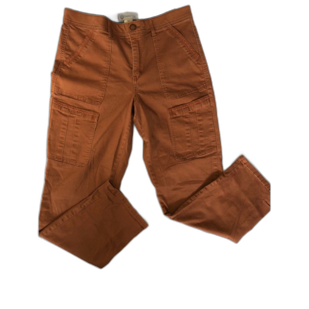 Democracy Burnt Orange Stretch Cargo Pants